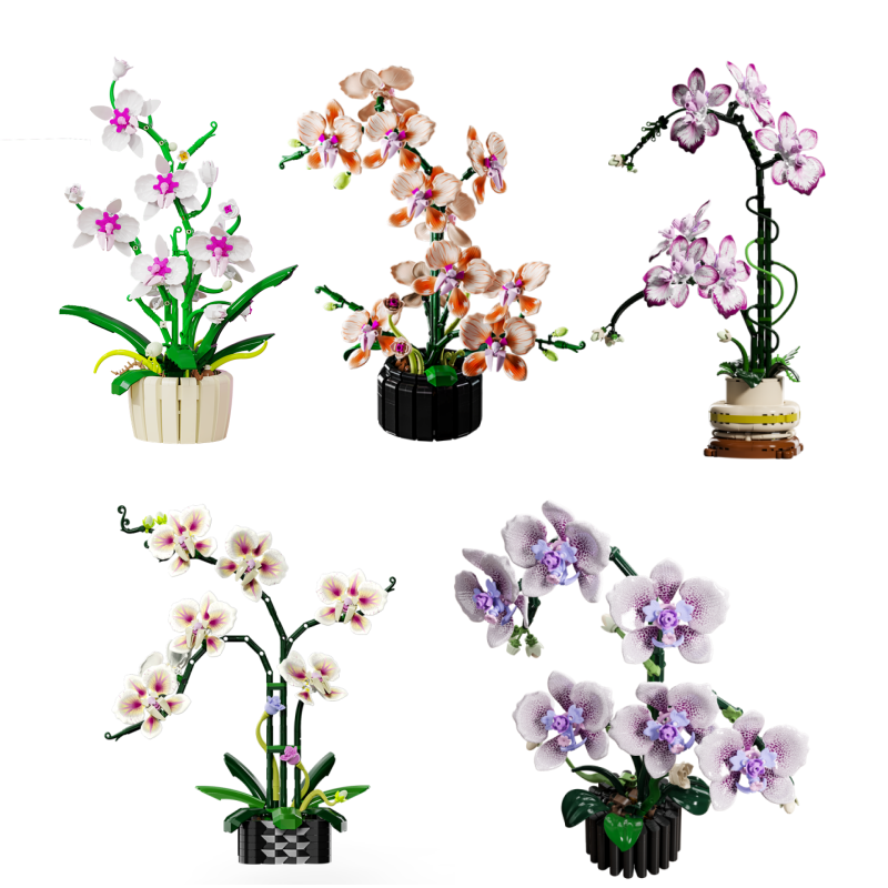 NEW Creative Orchid Bouquet Se - Orchid Potting Mix ulasan dan harga