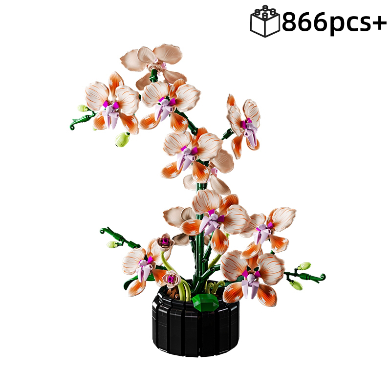NEW Creative Orchid Bouquet Se - Orchid Potting Mix ulasan dan harga