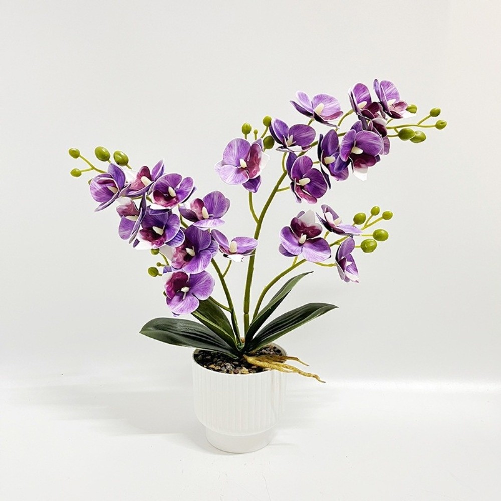 Multi-Bloom Simulated Butterfl - Orchid Potting Mix ulasan dan harga