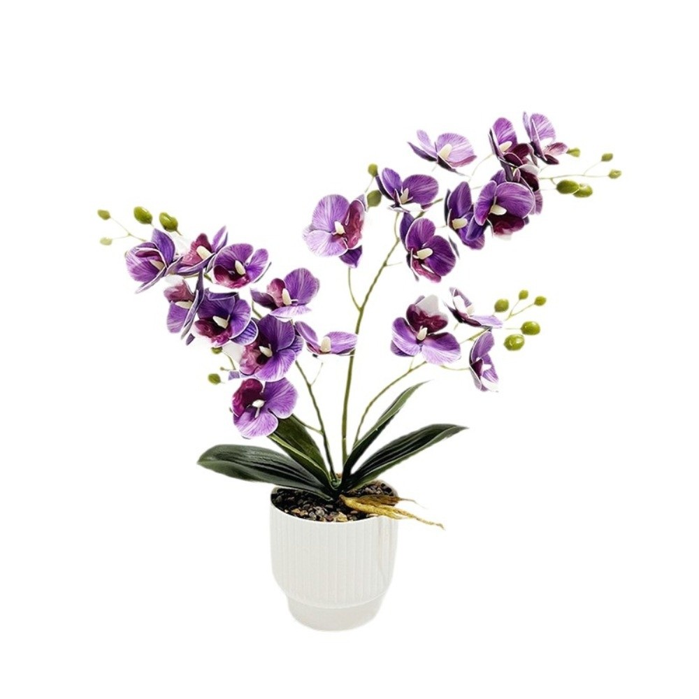 Multi-Bloom Simulated Butterfl - Orchid Potting Mix ulasan dan harga