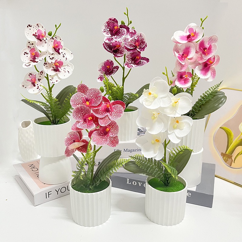 Vertical Bar Pot with 5 Butter - Orchid Potting Mix ulasan dan harga