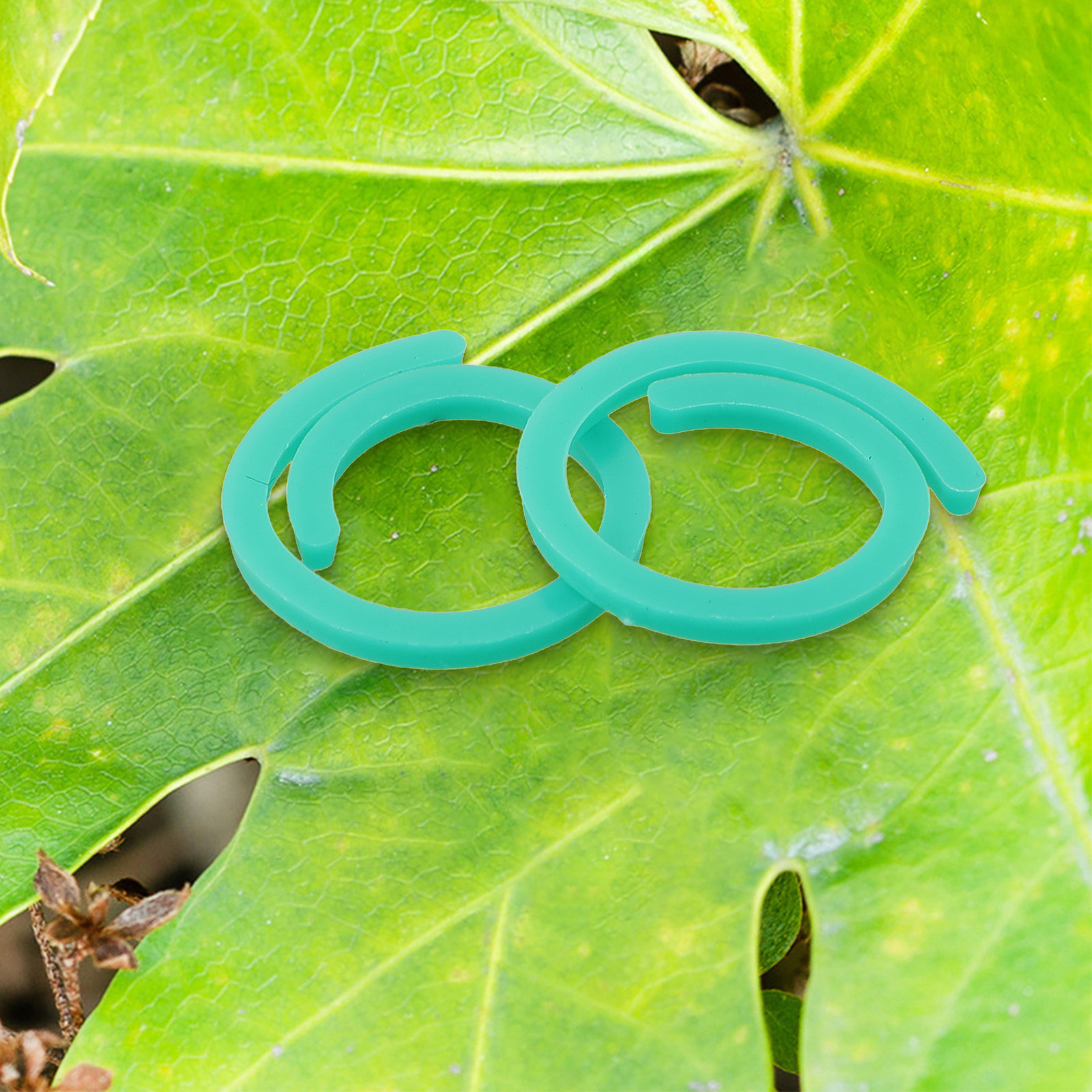 Bruising Plastic Reusable Effi - Gardening Tools Essential ulasan dan harga