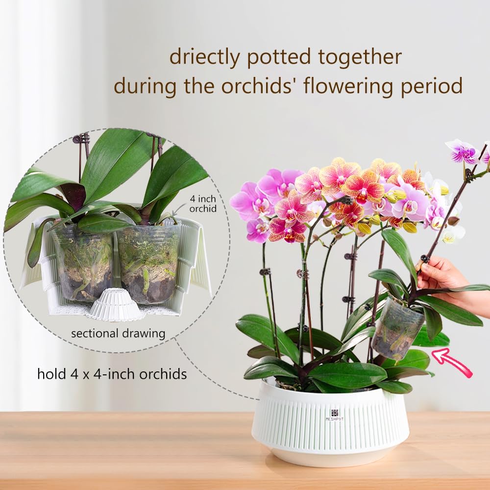 Meshpot Orchid Pot with Holes  - Orchid Potting Mix ulasan dan harga
