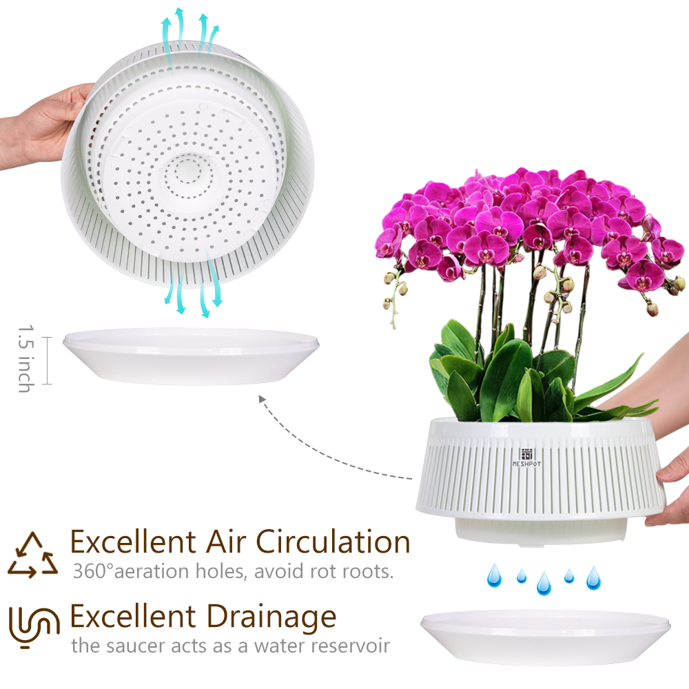 Meshpot Orchid Pot with Holes  - Orchid Potting Mix ulasan dan harga