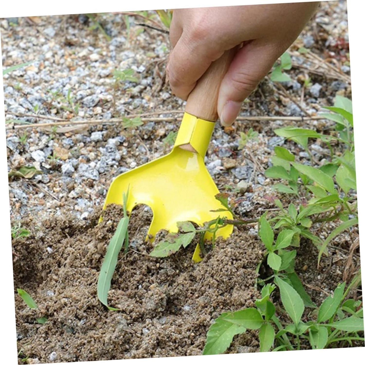 Elevate Your Outdoor Experienc - Gardening Tools You Need ulasan dan harga