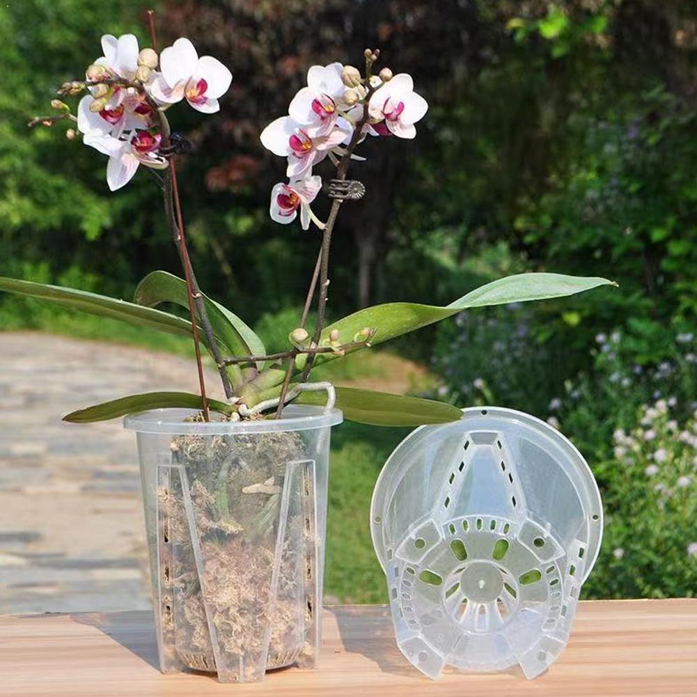 Plastic Root Control Transpare - Orchid Potting Mix ulasan dan harga