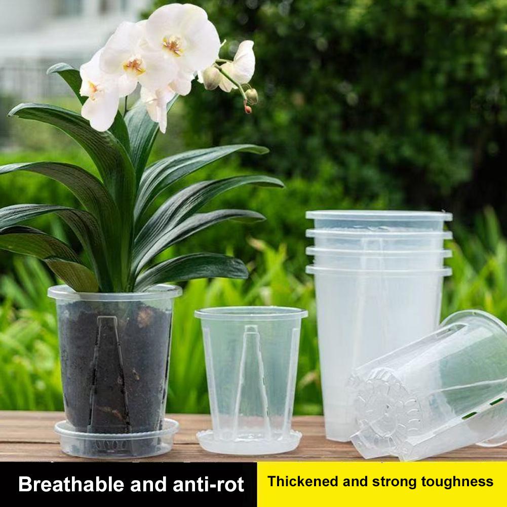 Plastic Root Control Transpare - Orchid Potting Mix ulasan dan harga
