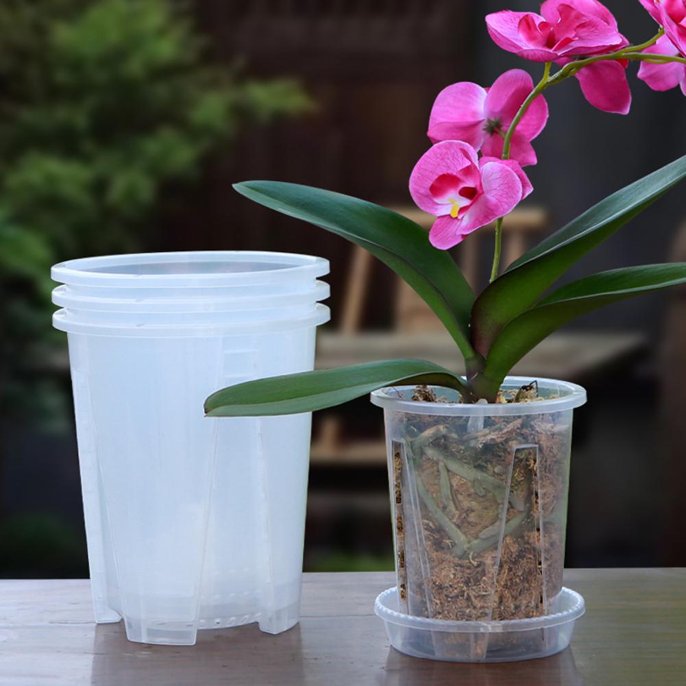 Plastic Root Control Transpare - Orchid Potting Mix ulasan dan harga