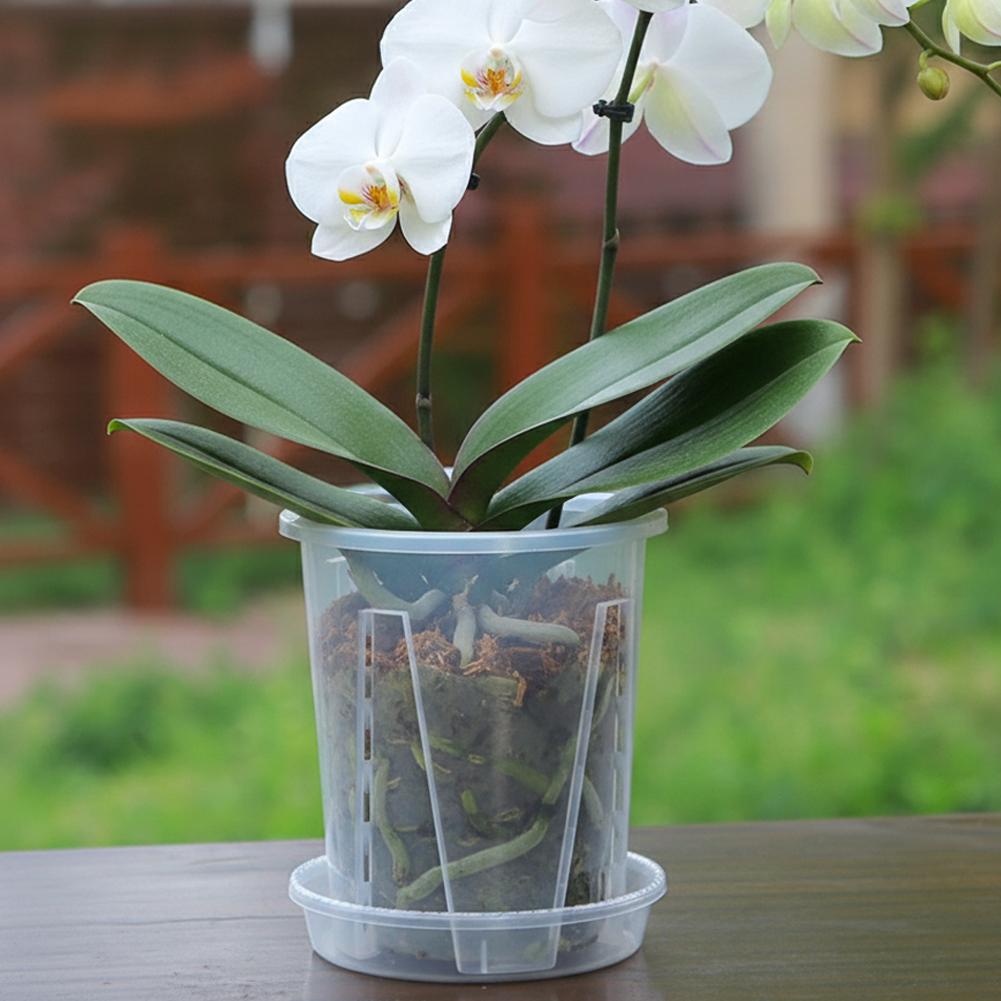 Plastic Root Control Transpare - Orchid Potting Mix ulasan dan harga