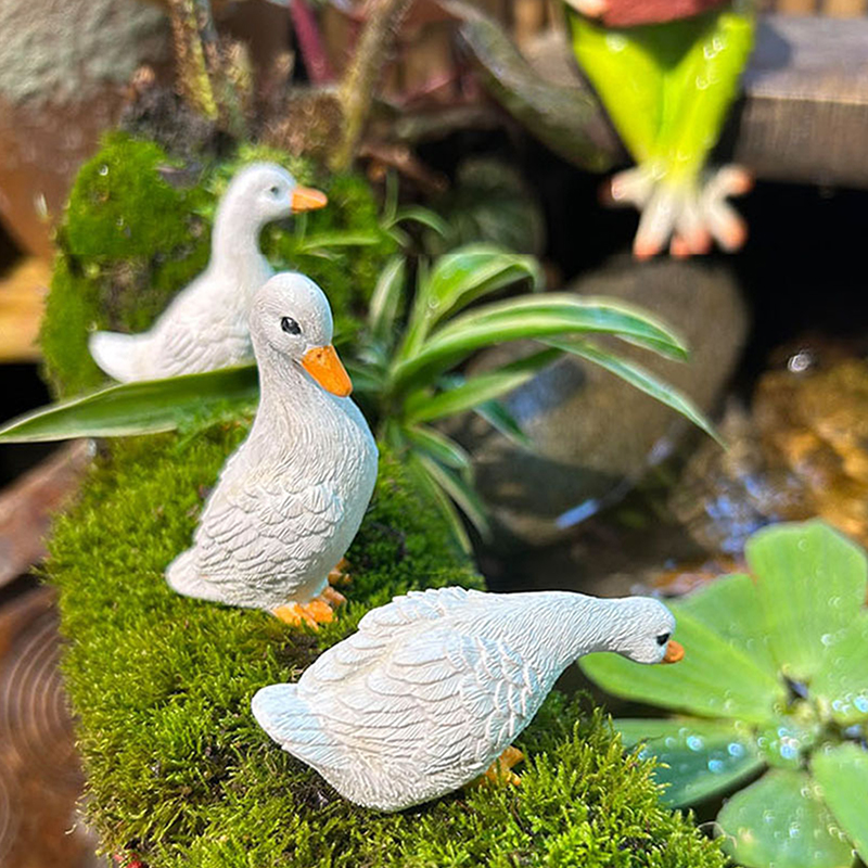 3pcs Cute White Duck Hydroponi - Gardening Tools Cute ulasan dan harga