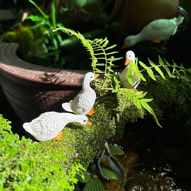 3pcs Cute White Duck Hydroponi - Gardening Tools Cute ulasan dan harga