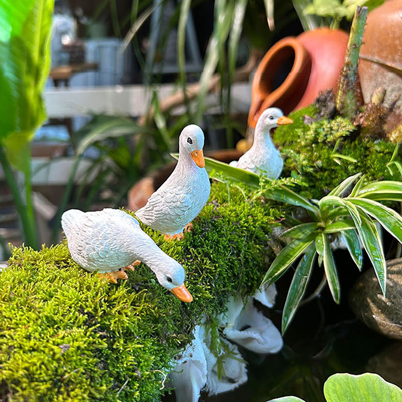 3pcs Cute White Duck Hydroponi - Gardening Tools Cute ulasan dan harga