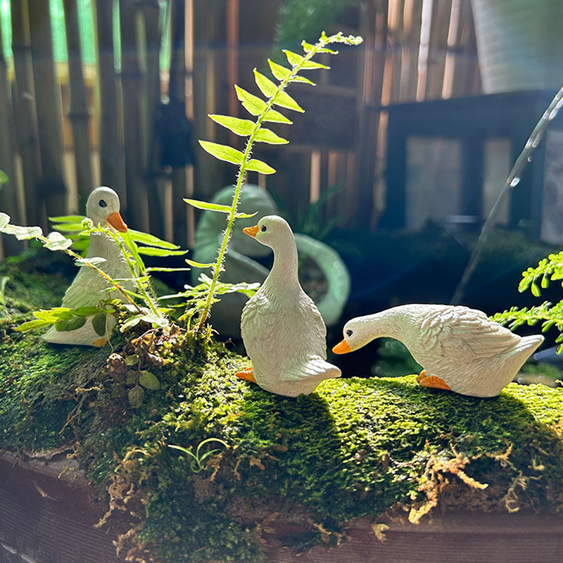3pcs Cute White Duck Hydroponi - Gardening Tools Cute ulasan dan harga