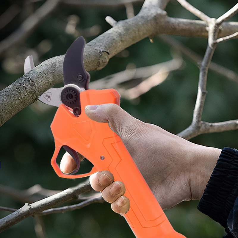 Hot Sale 42V Bodypack Electric - Gardening Tool ulasan dan harga