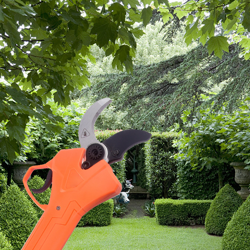 Hot Sale 42V Bodypack Electric - Gardening Tool ulasan dan harga