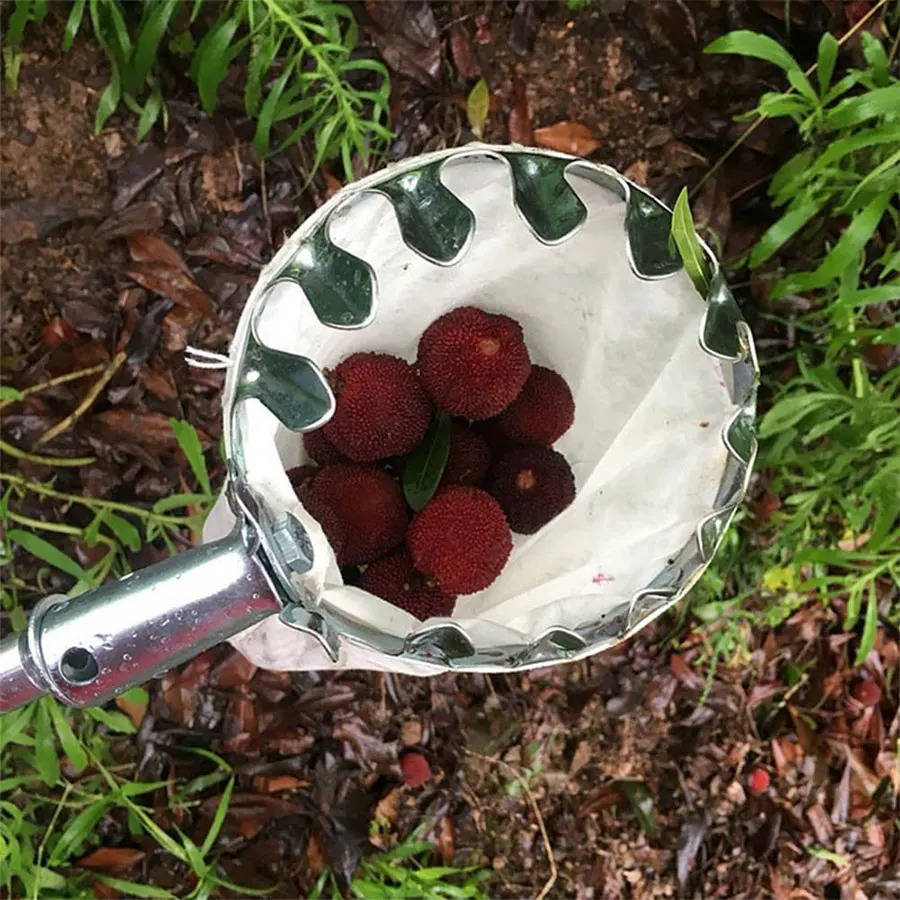 3-in-1 Fruit Harvesting Tool S - Gardening Tools Usa ulasan dan harga