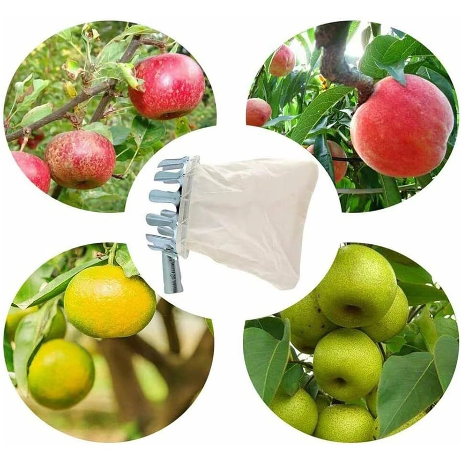 3-in-1 Fruit Harvesting Tool S - Gardening Tools Usa ulasan dan harga