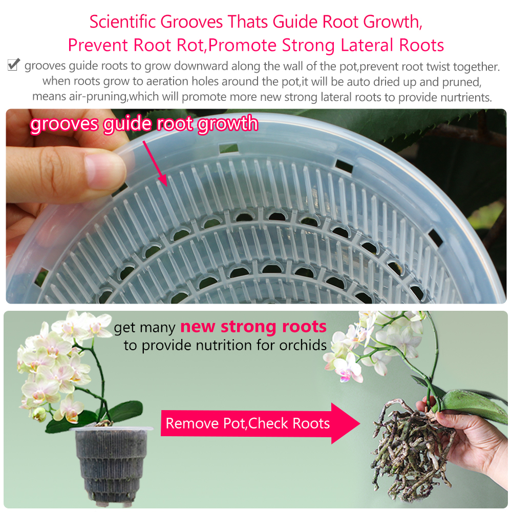 Meshpot Clear Plastic Orchid P - Orchid Potting Mix ulasan dan harga