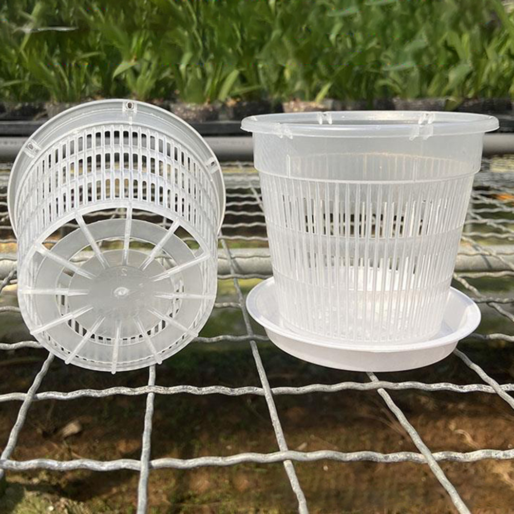 5pcs Orchid Pot With Saucers M - Orchid Potting Mix ulasan dan harga