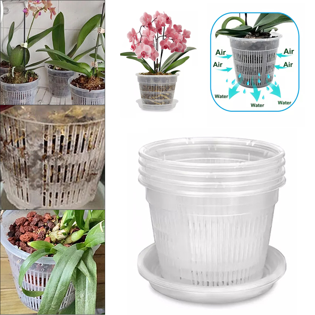 5pcs Orchid Pot With Saucers M - Orchid Potting Mix ulasan dan harga
