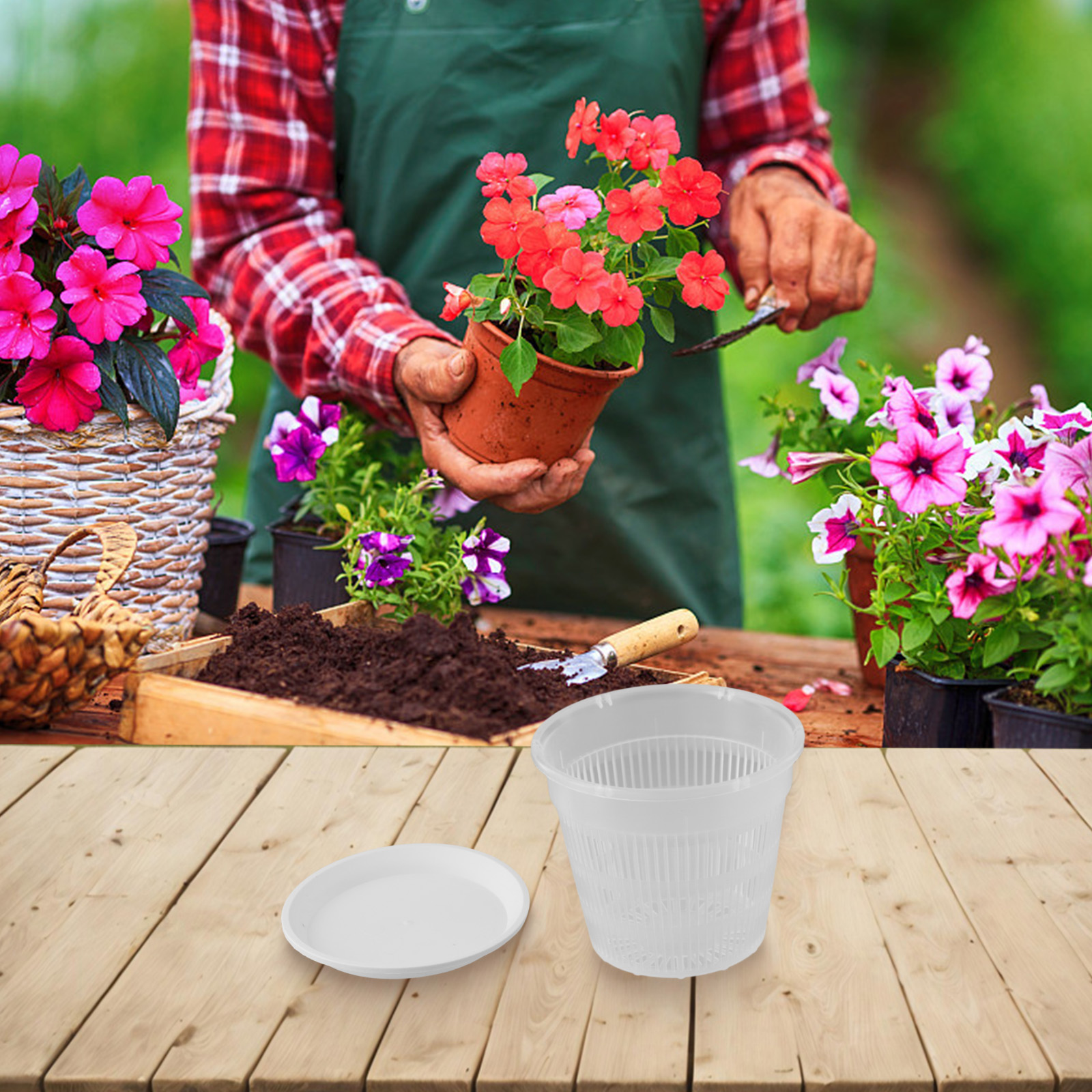 5pcs Orchid Pot With Saucers M - Orchid Potting Mix ulasan dan harga