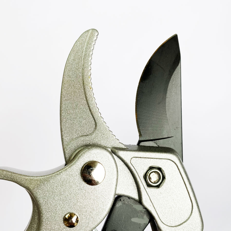 Professional Ratchet Pruning S - Pruning Shears ulasan dan harga