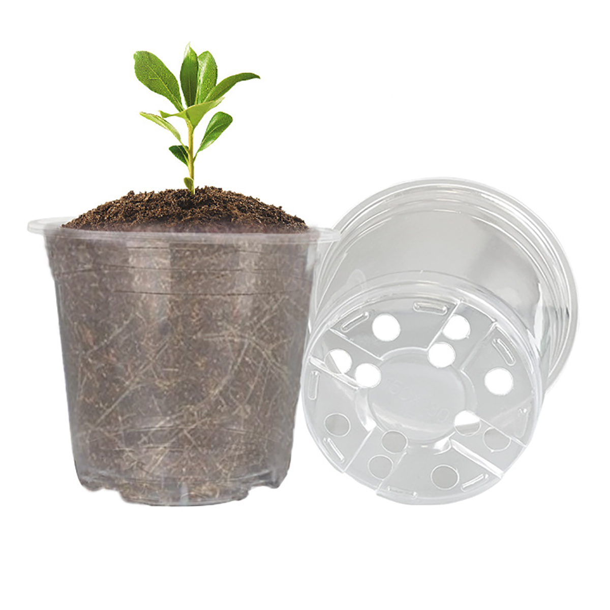 5Pcs 6/7.6/10/13/15cm Clear Ro - Orchid Potting Mix ulasan dan harga