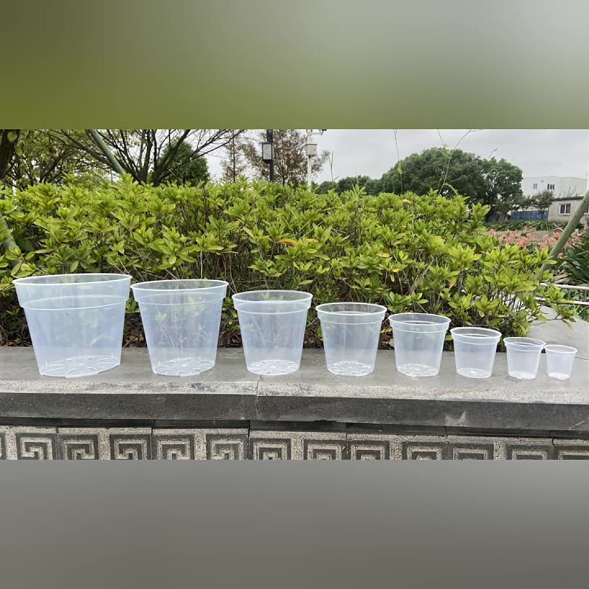5Pcs 6/7.6/10/13/15cm Clear Ro - Orchid Potting Mix ulasan dan harga