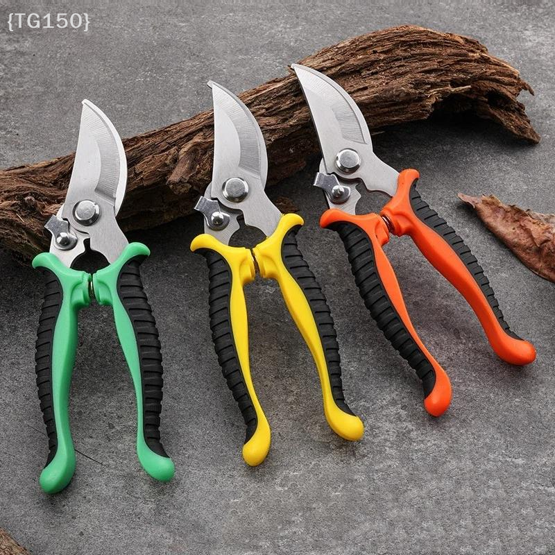 Horticultural Scissors Bird Be - Pruning Shears ulasan dan harga