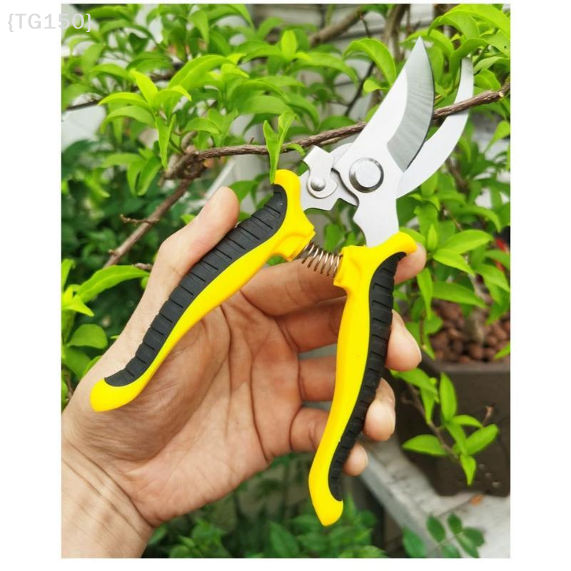 Horticultural Scissors Bird Be - Pruning Shears ulasan dan harga