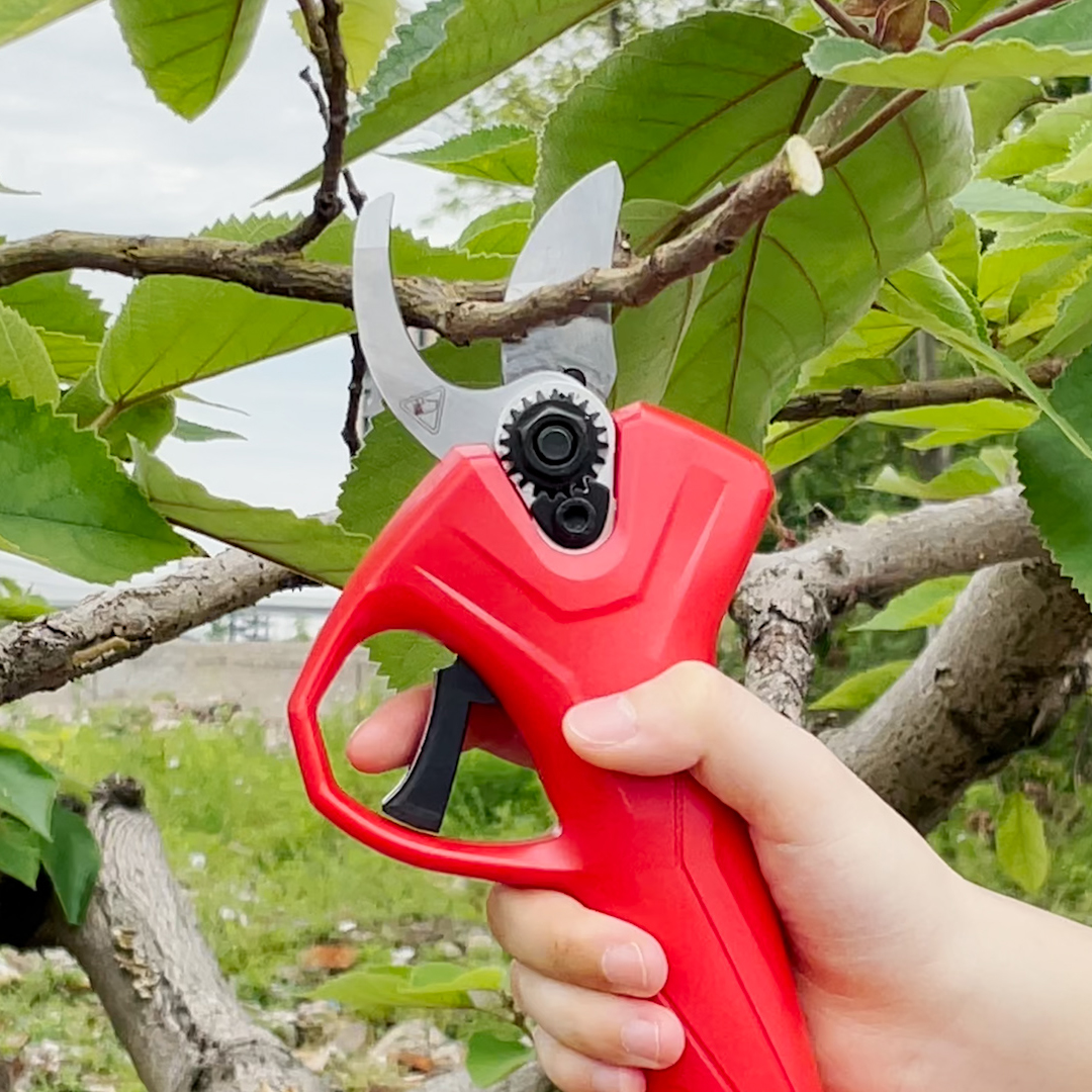 Pruner Scissors Brushless Prun - Pruning Shears ulasan dan harga