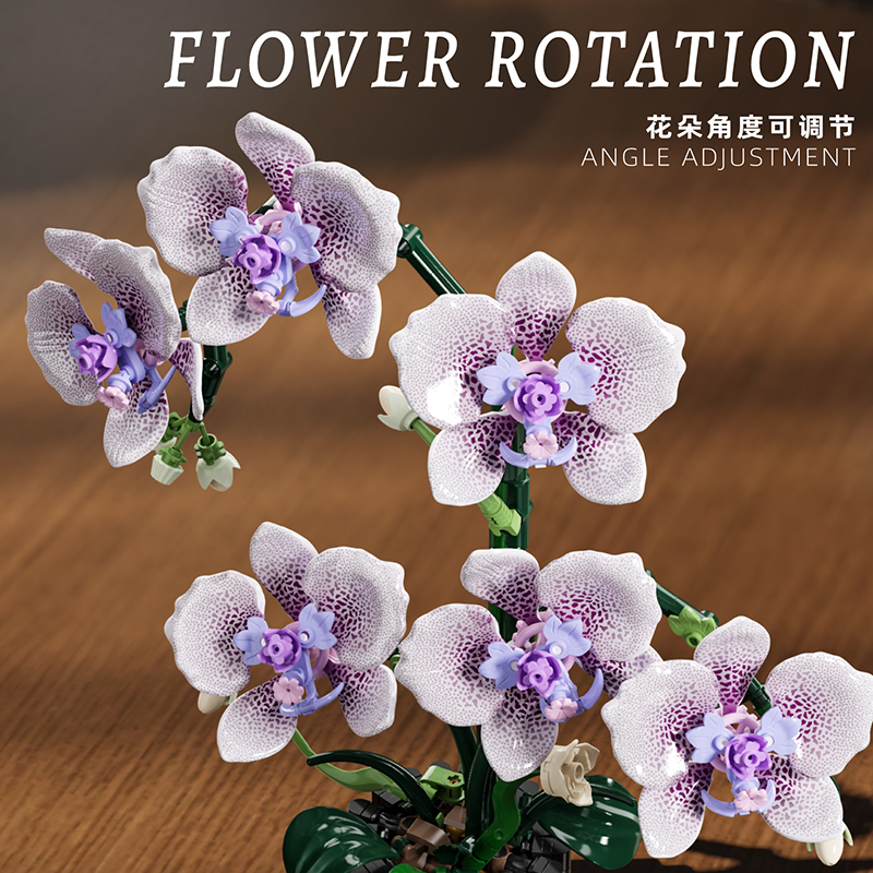 619PCS Phalaenopsis Building B - Orchid Potting Mix ulasan dan harga
