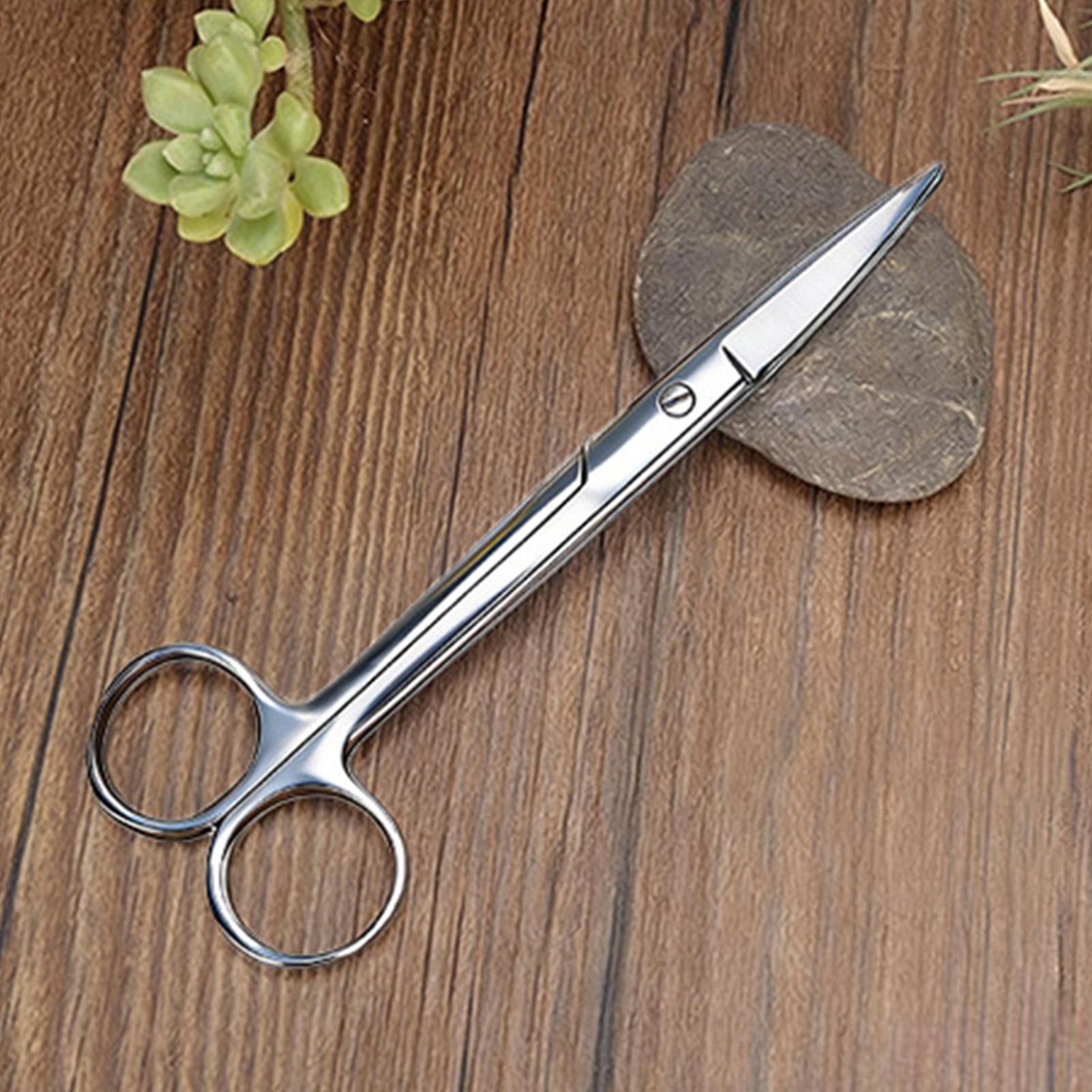 Plant Shears Stainless Steel E - Pruning Shears ulasan dan harga