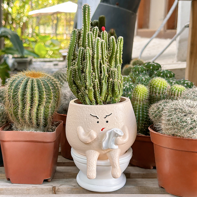 Funny Ghost Toilet Resin Succu - Gardening Tools Cute ulasan dan harga