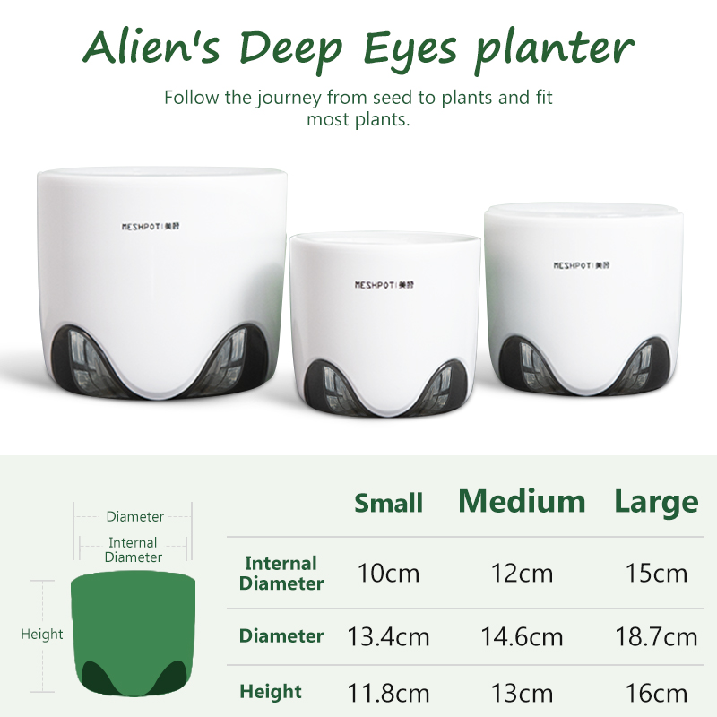 Meshpot Orchid Pots with Holes - Orchid Potting Mix ulasan dan harga