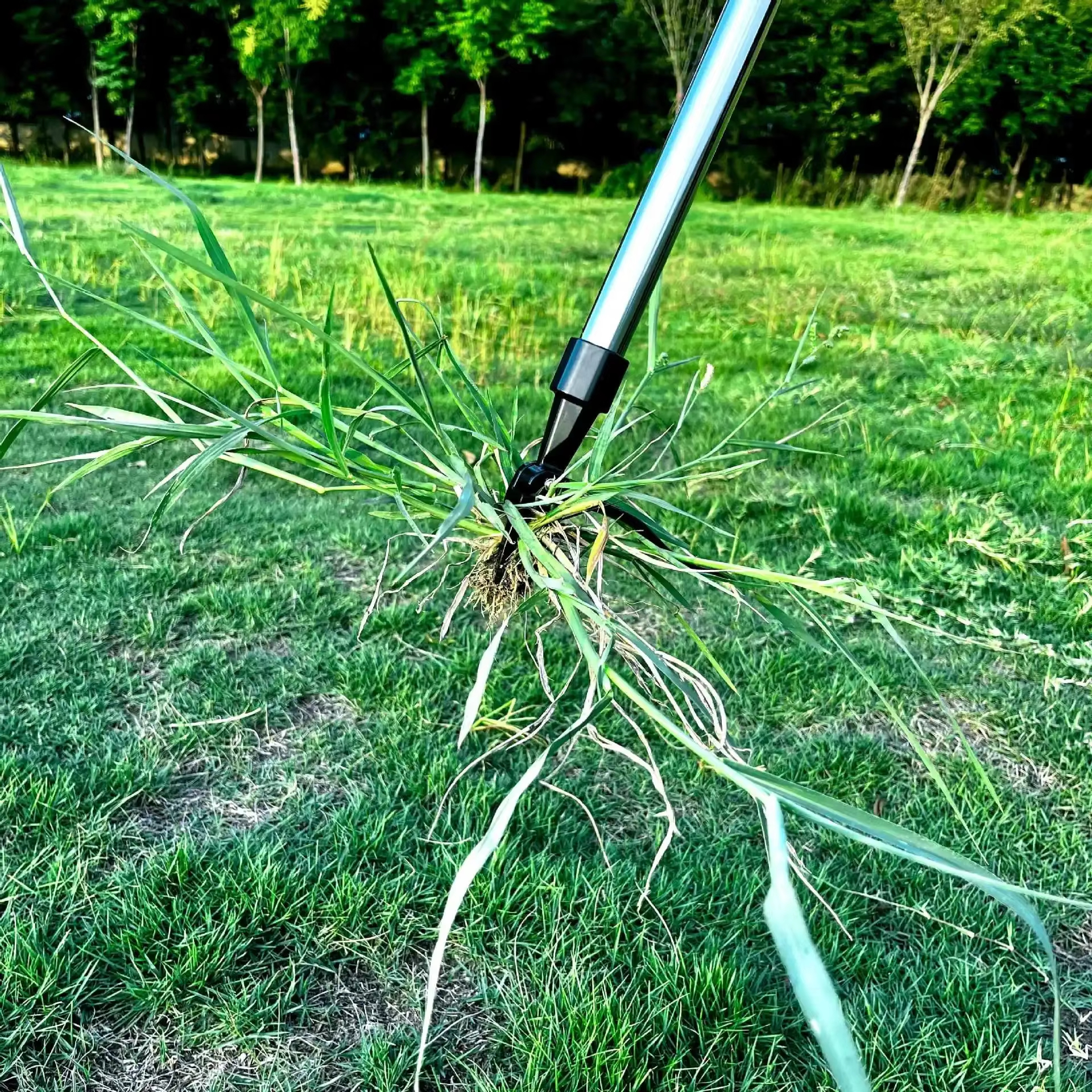 Save Labour Hand Metal Weed Ex - Gardening Tools You Need ulasan dan harga