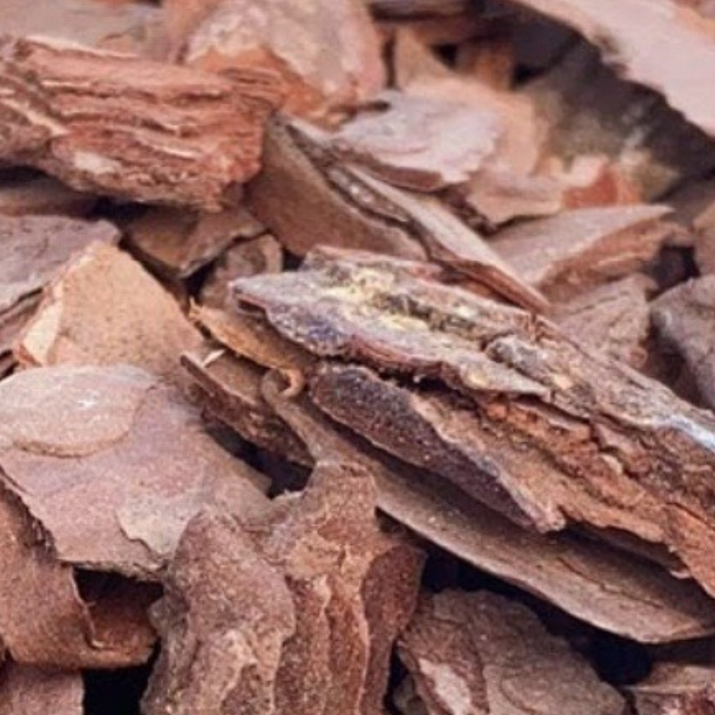 Fermented Pine Bark Orchid Ros - Orchid Potting Mix ulasan dan harga