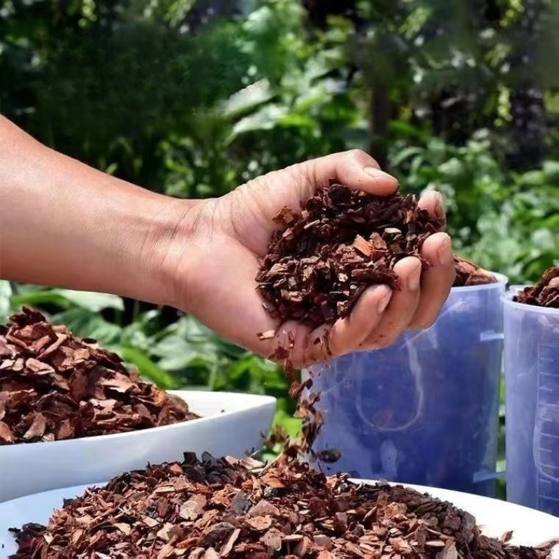 Fermented Pine Bark Orchid Ros - Orchid Potting Mix ulasan dan harga