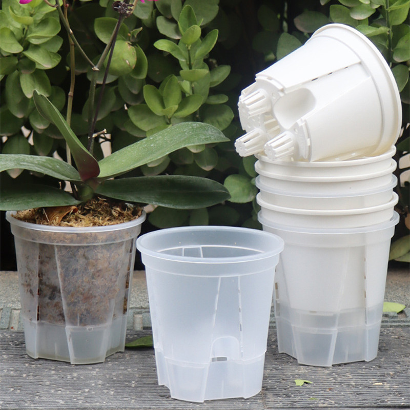 5pcs Transparent Orchid Pot wi - Orchid Potting Mix ulasan dan harga