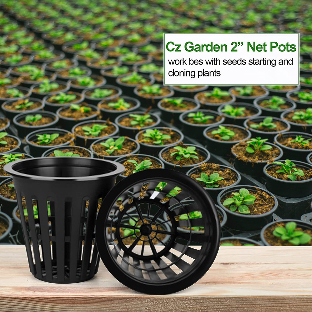 2inch Garden Nursery Pots Plan - Orchid Potting Mix ulasan dan harga