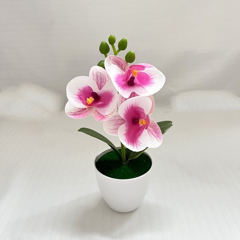 Multi-Bloom Simulated Butterfl - Orchid Potting Mix ulasan dan harga