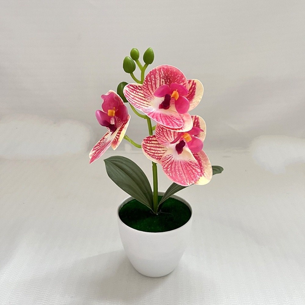 Multi-Bloom Simulated Butterfl - Orchid Potting Mix ulasan dan harga