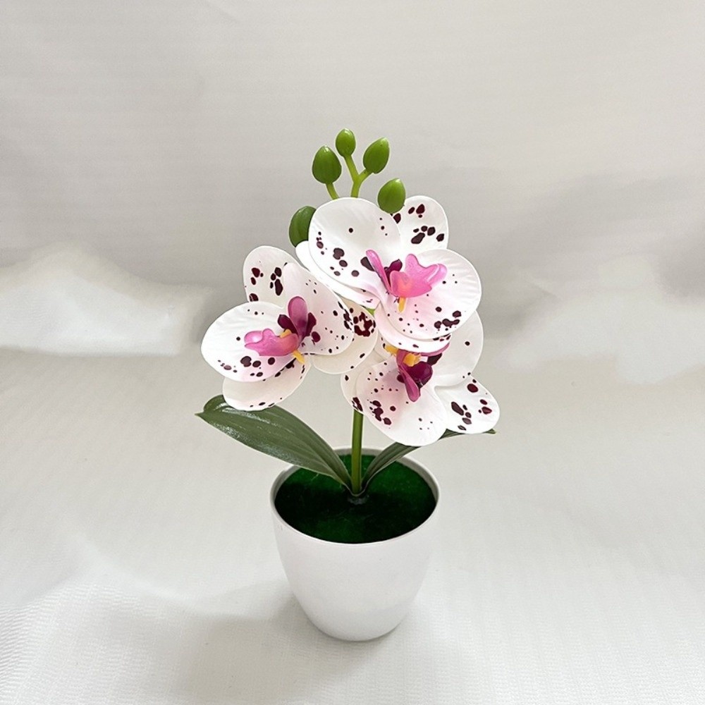 Multi-Bloom Simulated Butterfl - Orchid Potting Mix ulasan dan harga